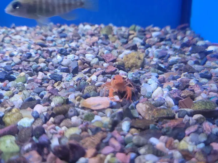 Extreme Marine Picture 10