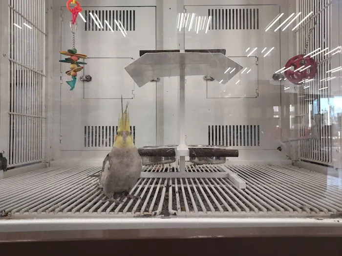 Petco Picture 4