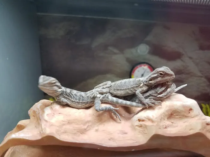 Petco Picture 10