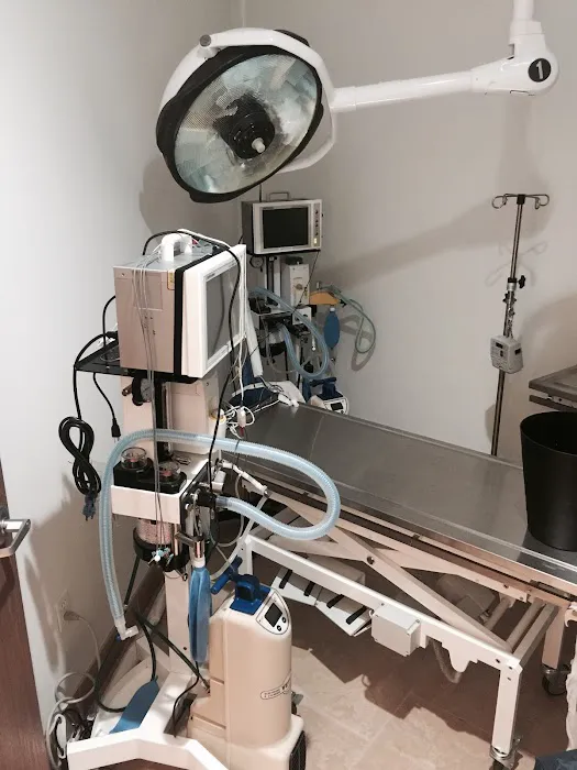 Arizona Animal Hospital Picture 7