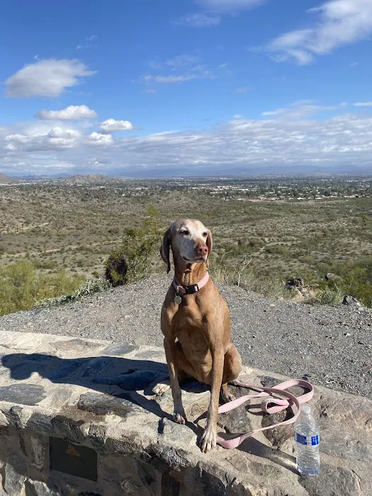Arizona Animal Hospital Picture 6