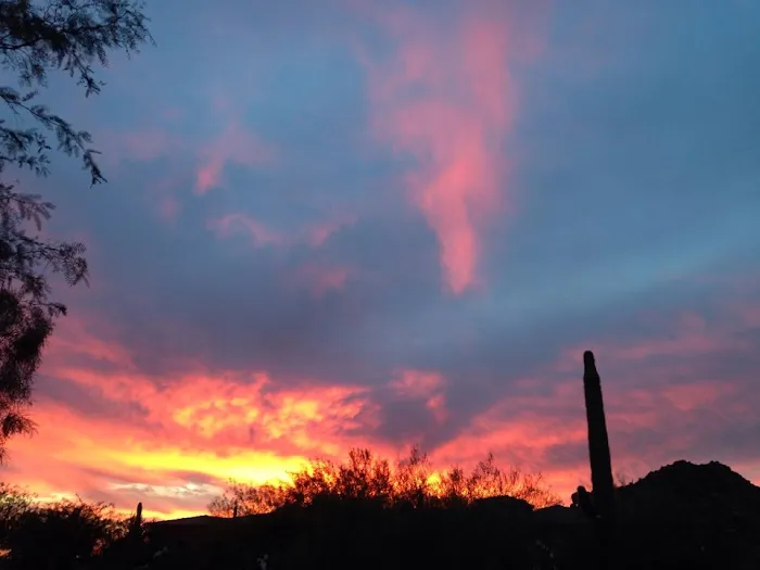 Arizona Animal Hospital Picture 10