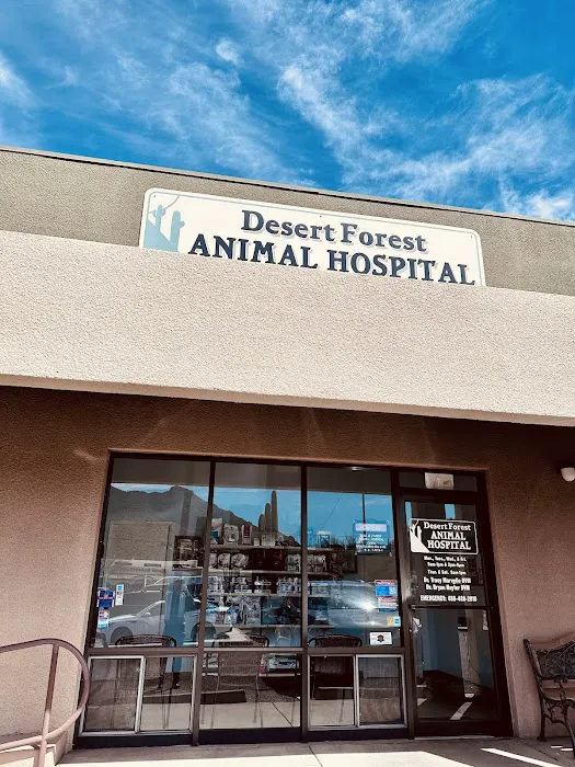 Desert Forest Animal Hospital Picture 1
