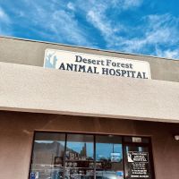 Desert Forest Animal Hospital ico