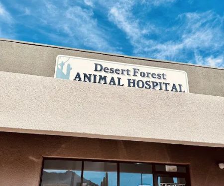 Desert Forest Animal Hospital