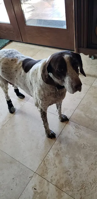 Desert Forest Animal Hospital Picture 9