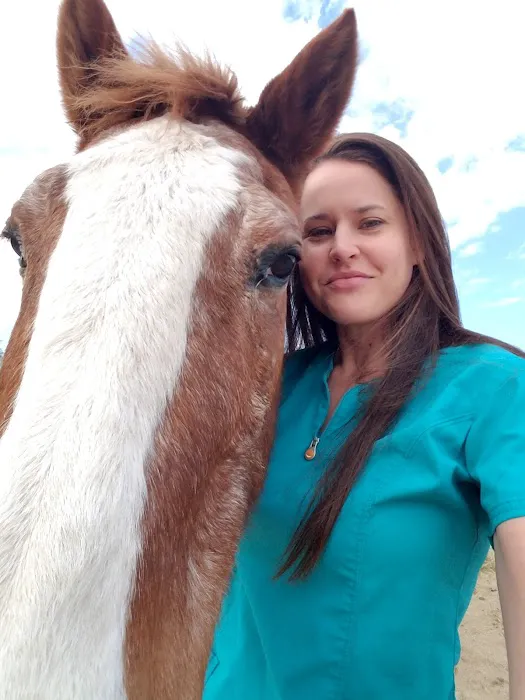 Desert Forest Animal Hospital Picture 10