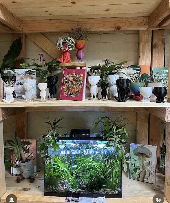Bermuda Aquatics Exotic Fish & Ponds Picture 3
