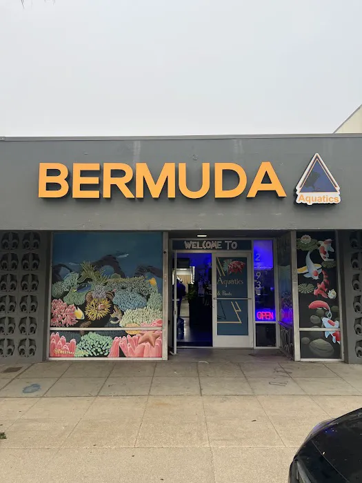 Bermuda Aquatics Exotic Fish & Ponds Picture 7