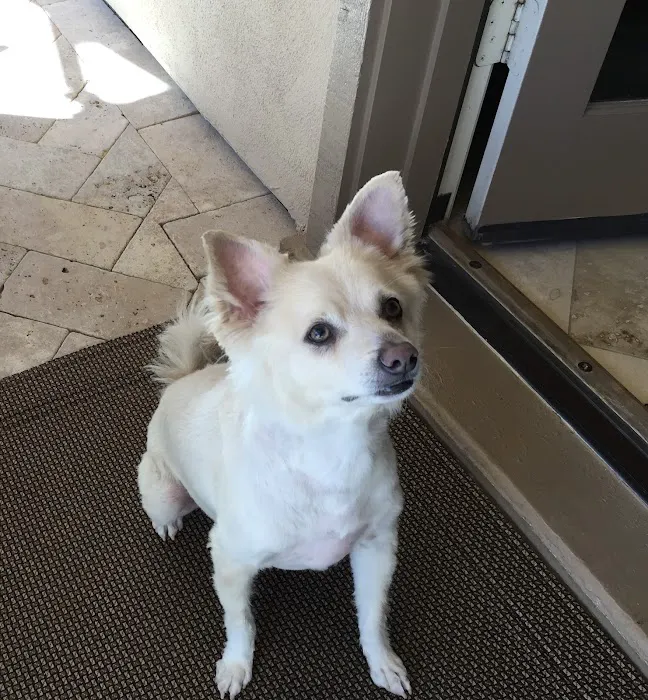 Pets At Peace Picture 10