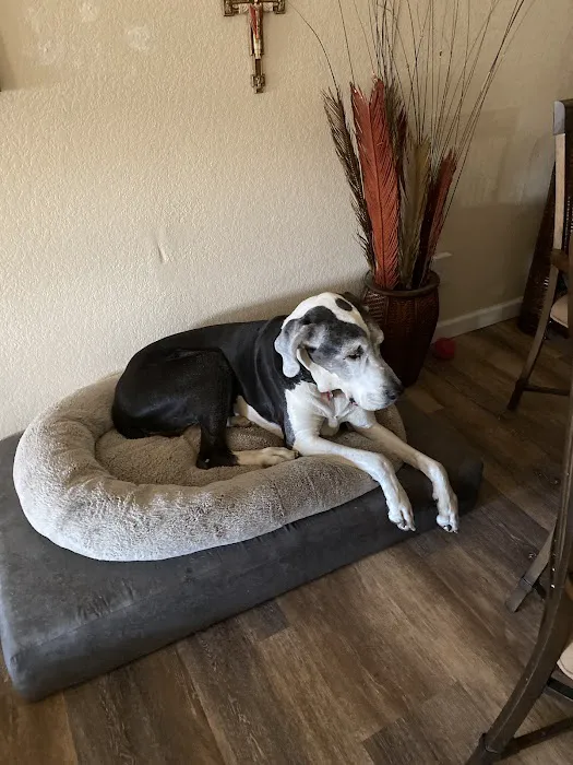 LifeCare Animal Hospital Picture 4