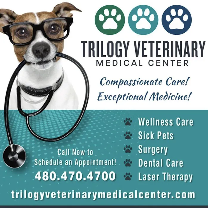 Trilogy Veterinary Medical Center Picture 3