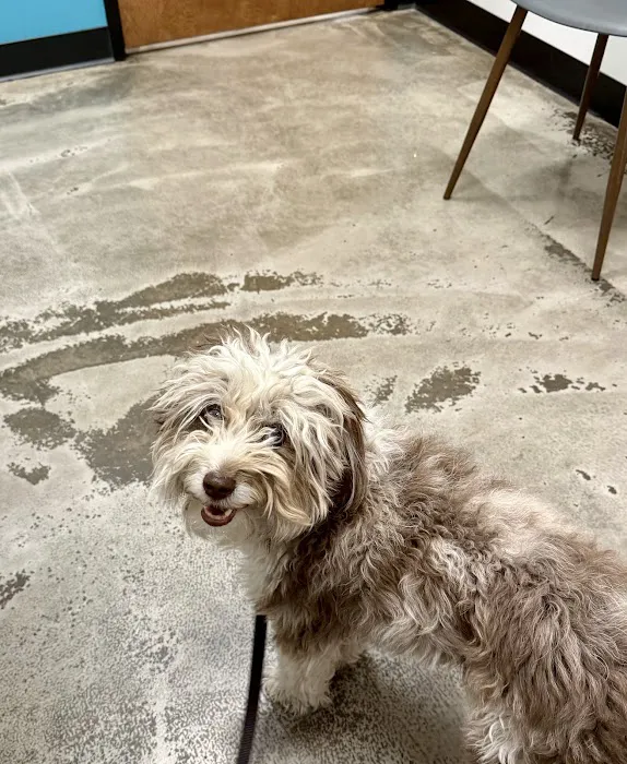 Trilogy Veterinary Medical Center Picture 8