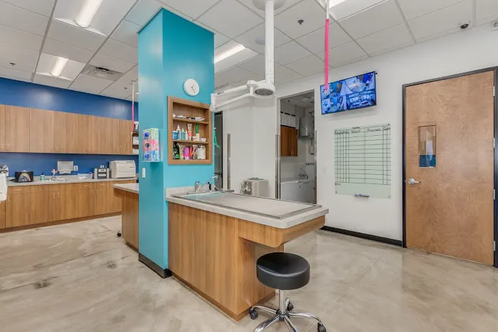 Trilogy Veterinary Medical Center Picture 7