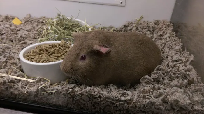 Petco Picture 1