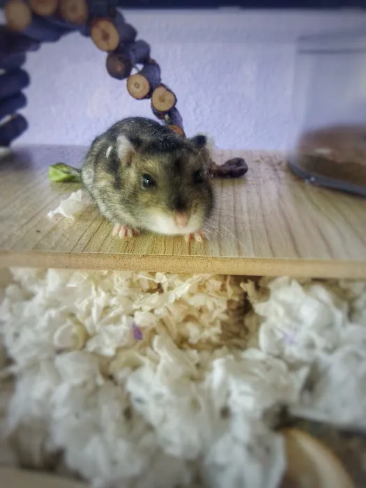 Petco Picture 5