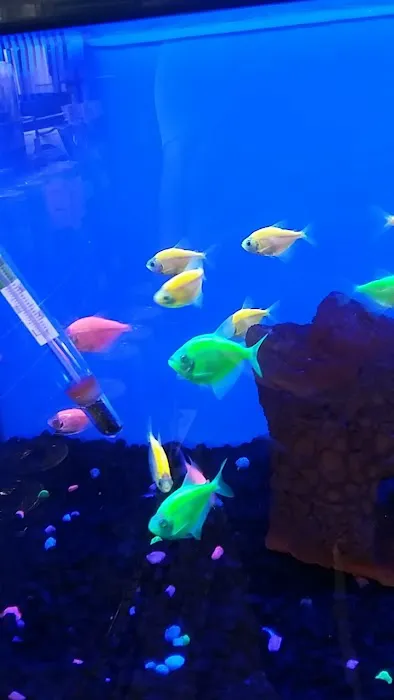 Petco Picture 3