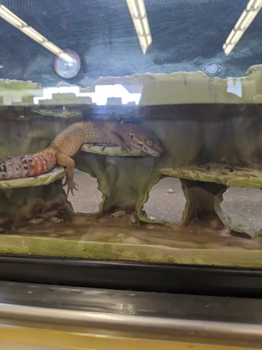 Petco Picture 8