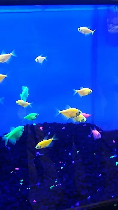 Petco Picture 4