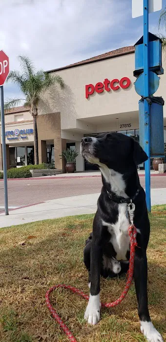 Petco Picture 10