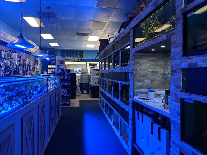 Ocean's Tropical Fish Picture 2
