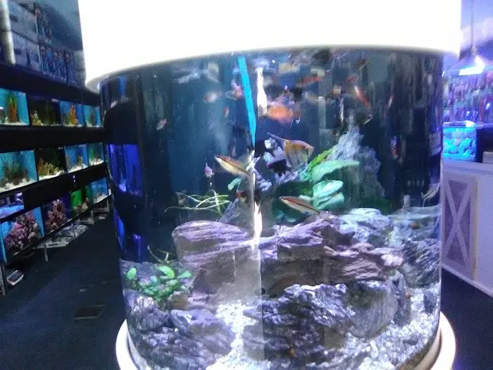Ocean's Tropical Fish Picture 7