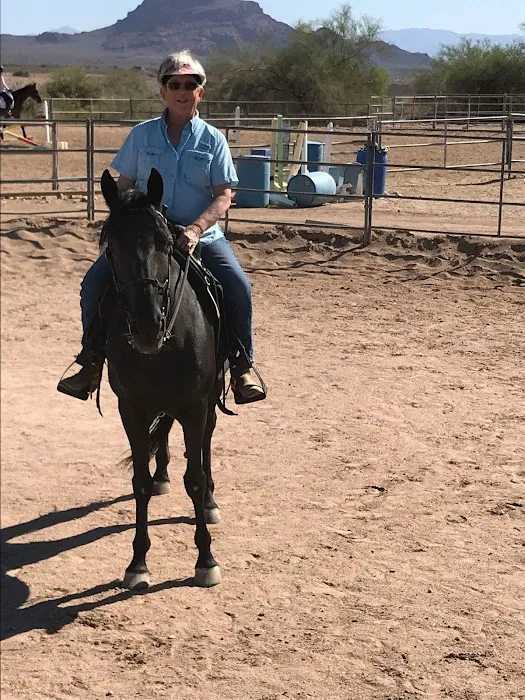 East Valley Equine Practitioners Picture 1