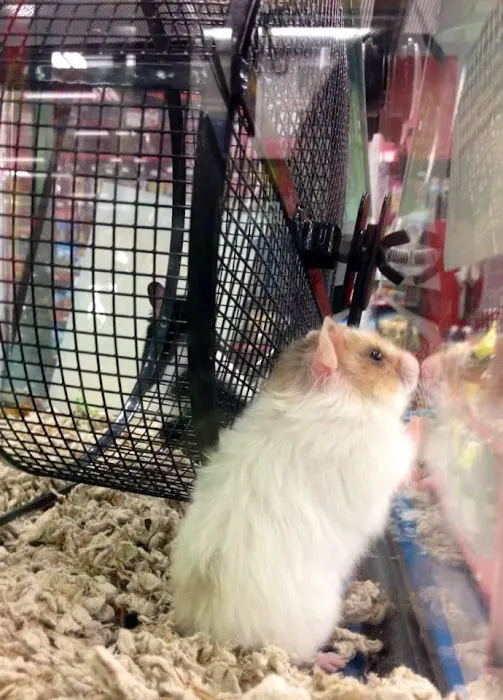 Petco Picture 2