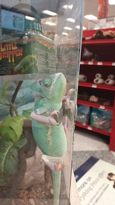 Petco Picture 6