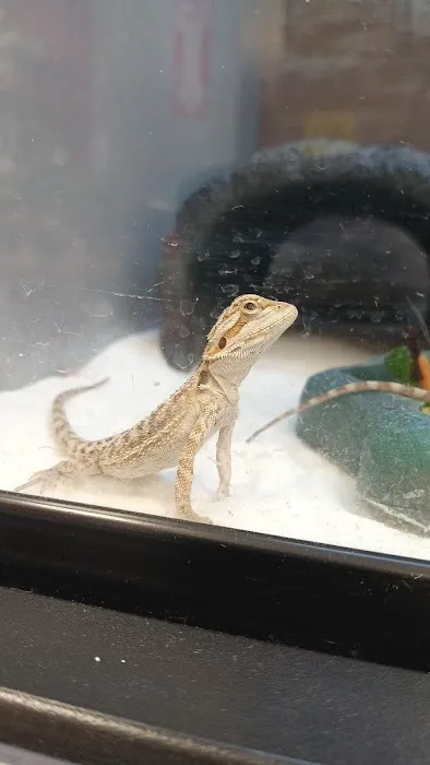 Petco Picture 7