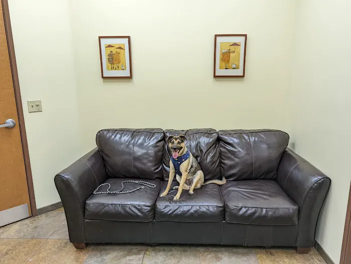 Priority Pet Hospital Picture 1