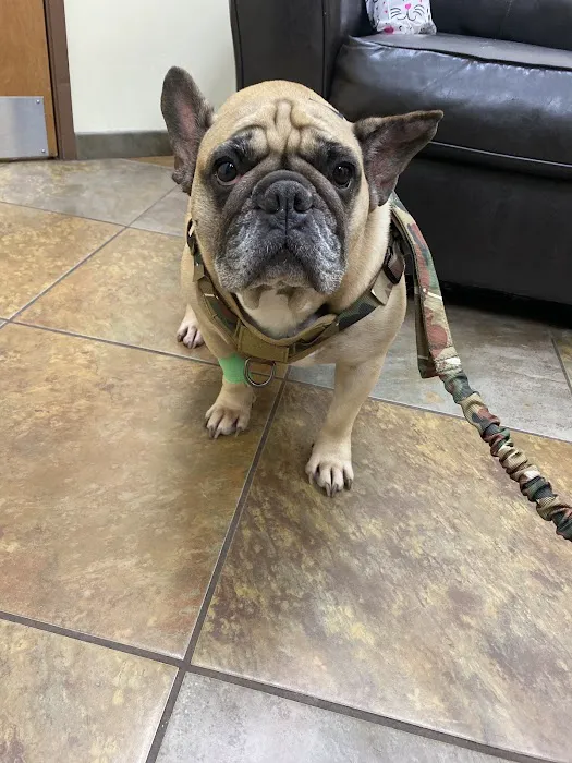 Priority Pet Hospital Picture 3