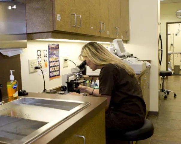 Priority Pet Hospital Picture 7