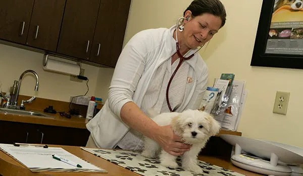 Priority Pet Hospital Picture 6