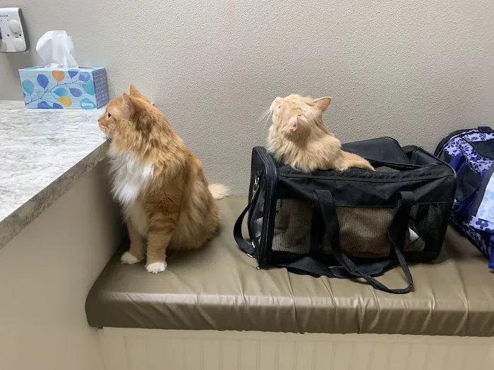 Warner Vista Animal Hospital Picture 6