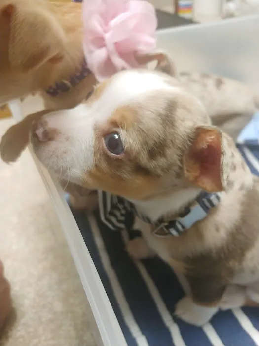 Warner Vista Animal Hospital Picture 5