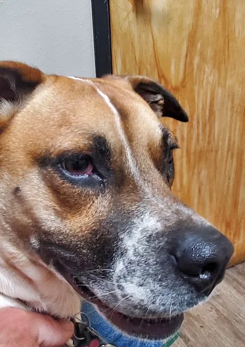 Warner Vista Animal Hospital Picture 7
