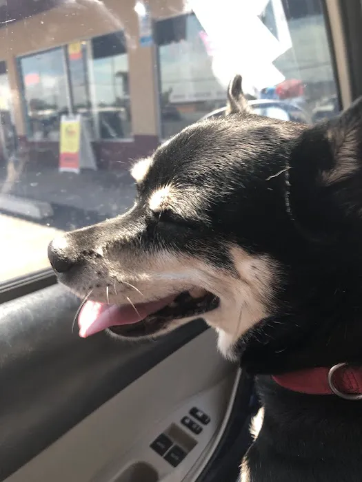 apache trail veterinary services Picture 8