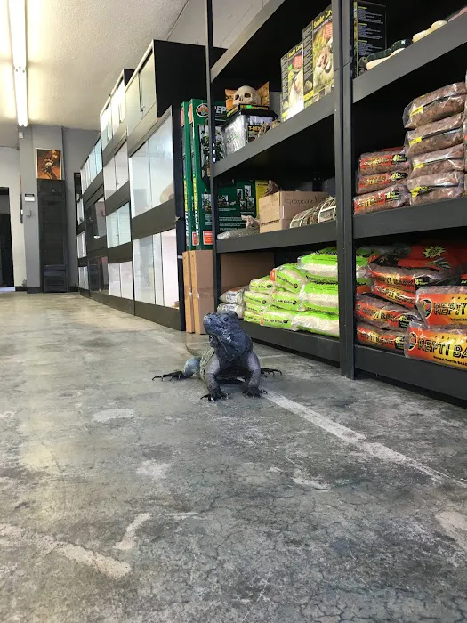 Reptiles Reptropolis Picture 4
