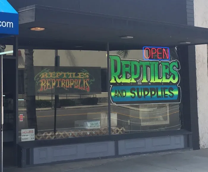 Reptiles Reptropolis Picture 9