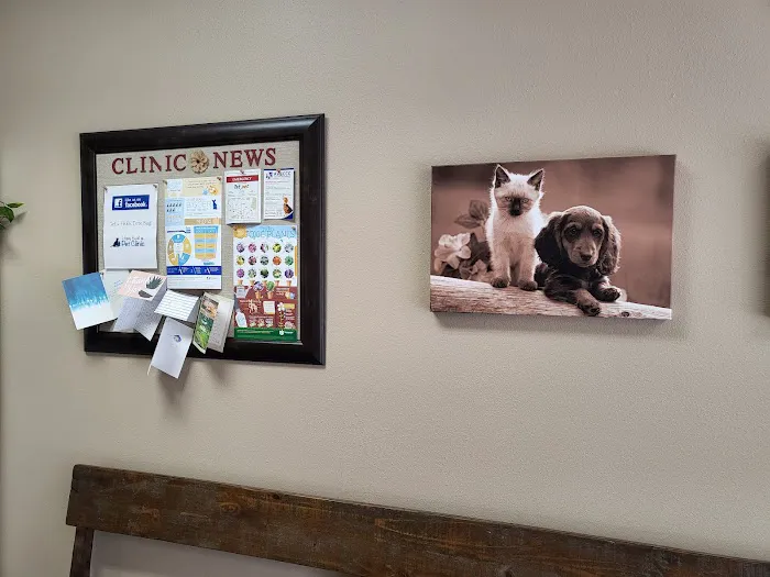 Higley Road Pet Clinic Picture 8