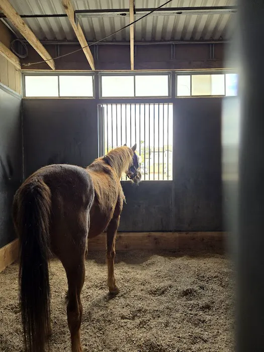 Southwest Equine Veterinary Clinic Picture 1