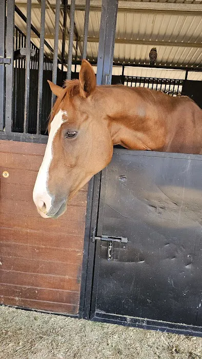 Southwest Equine Veterinary Clinic Picture 3