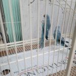 Mendoza's Feed and Supply