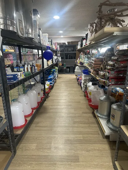 Mendoza's Feed and Supply Picture 6