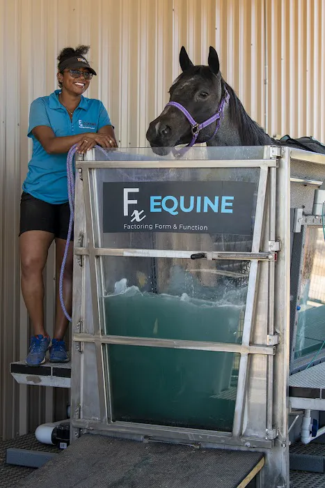 FX Equine Picture 2