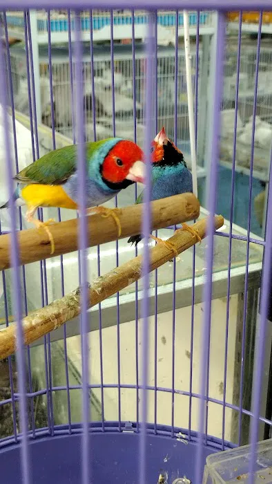 Abe's Pet Place Picture 2