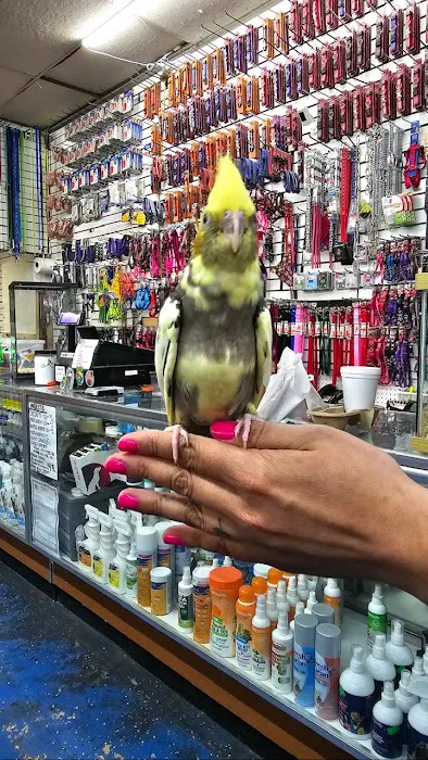 Abe's Pet Place Picture 6
