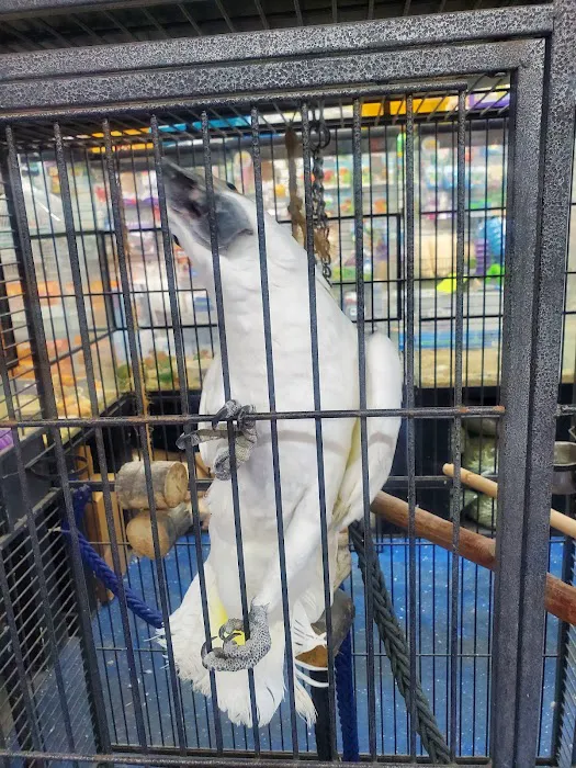 Abe's Pet Place Picture 5