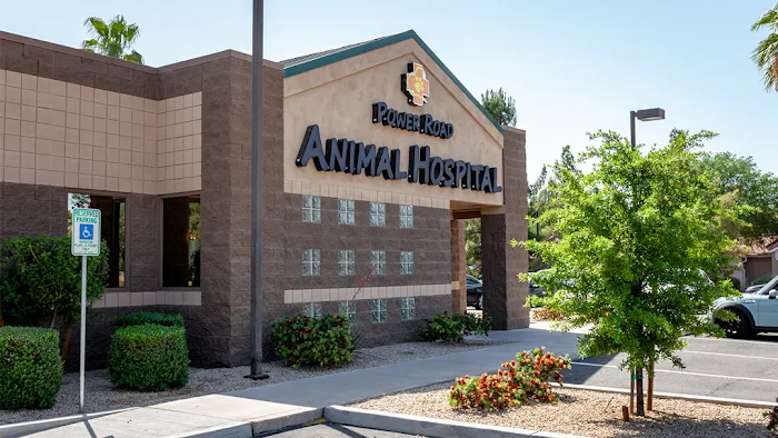 Power Road Animal Hospital Picture 1